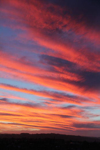 Kaimai Sunset